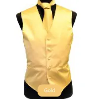 Gold Mens Solid Vest