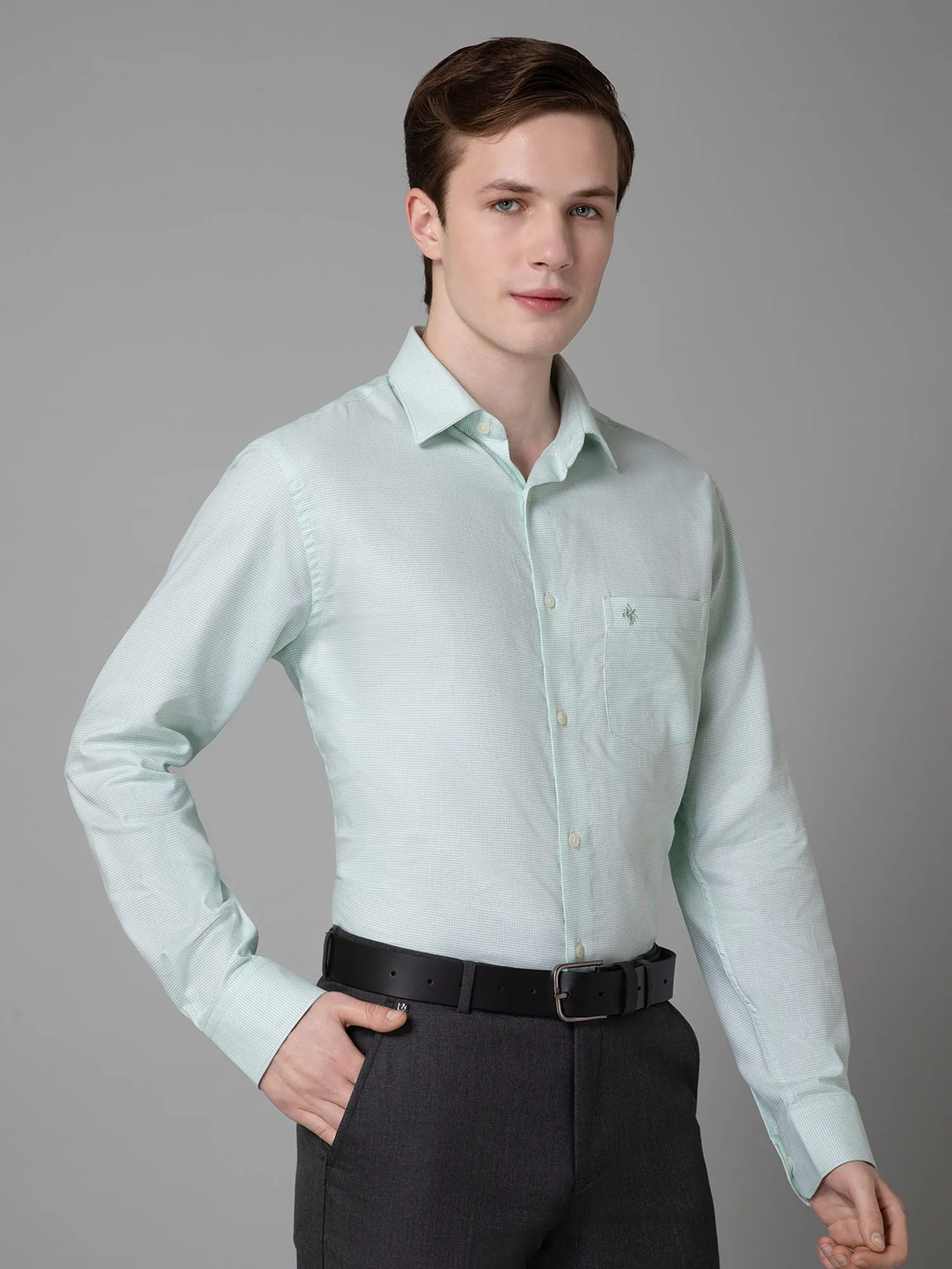 Men's Light Green Formal Self Textured Full Sleeve Shirt