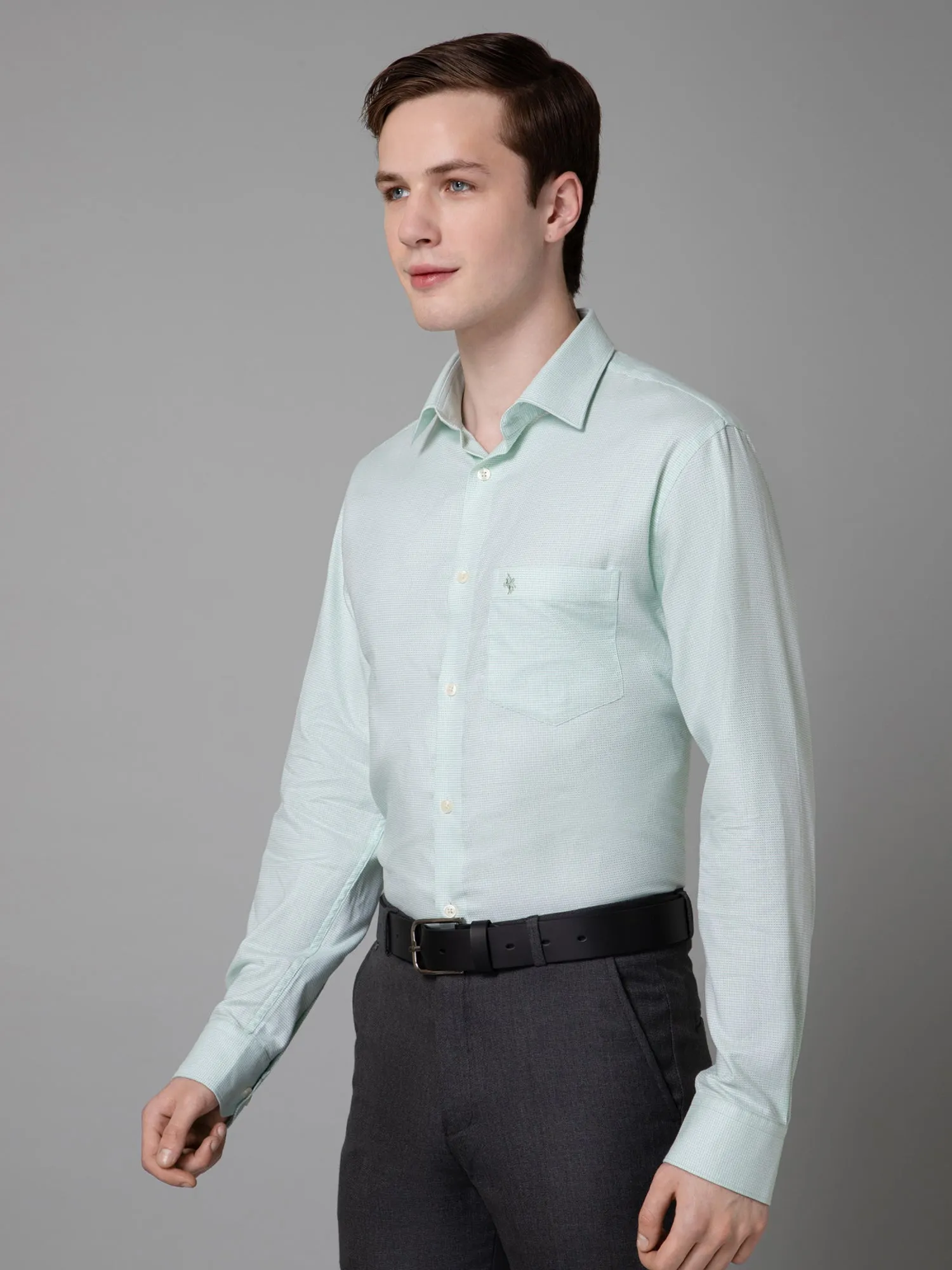 Men's Light Green Formal Self Textured Full Sleeve Shirt