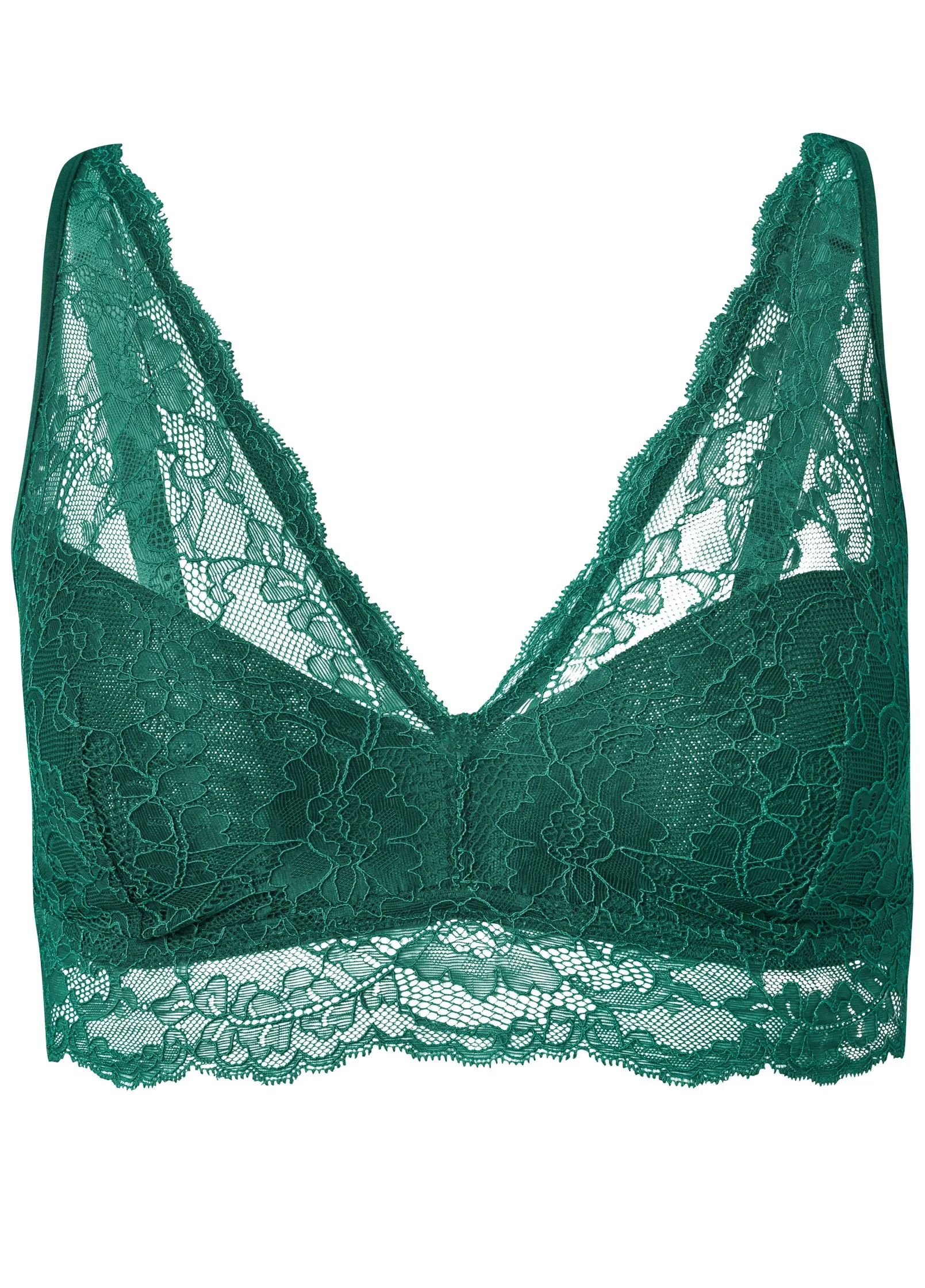 Pearl By VENUS® Lace Bralette - Night Palm