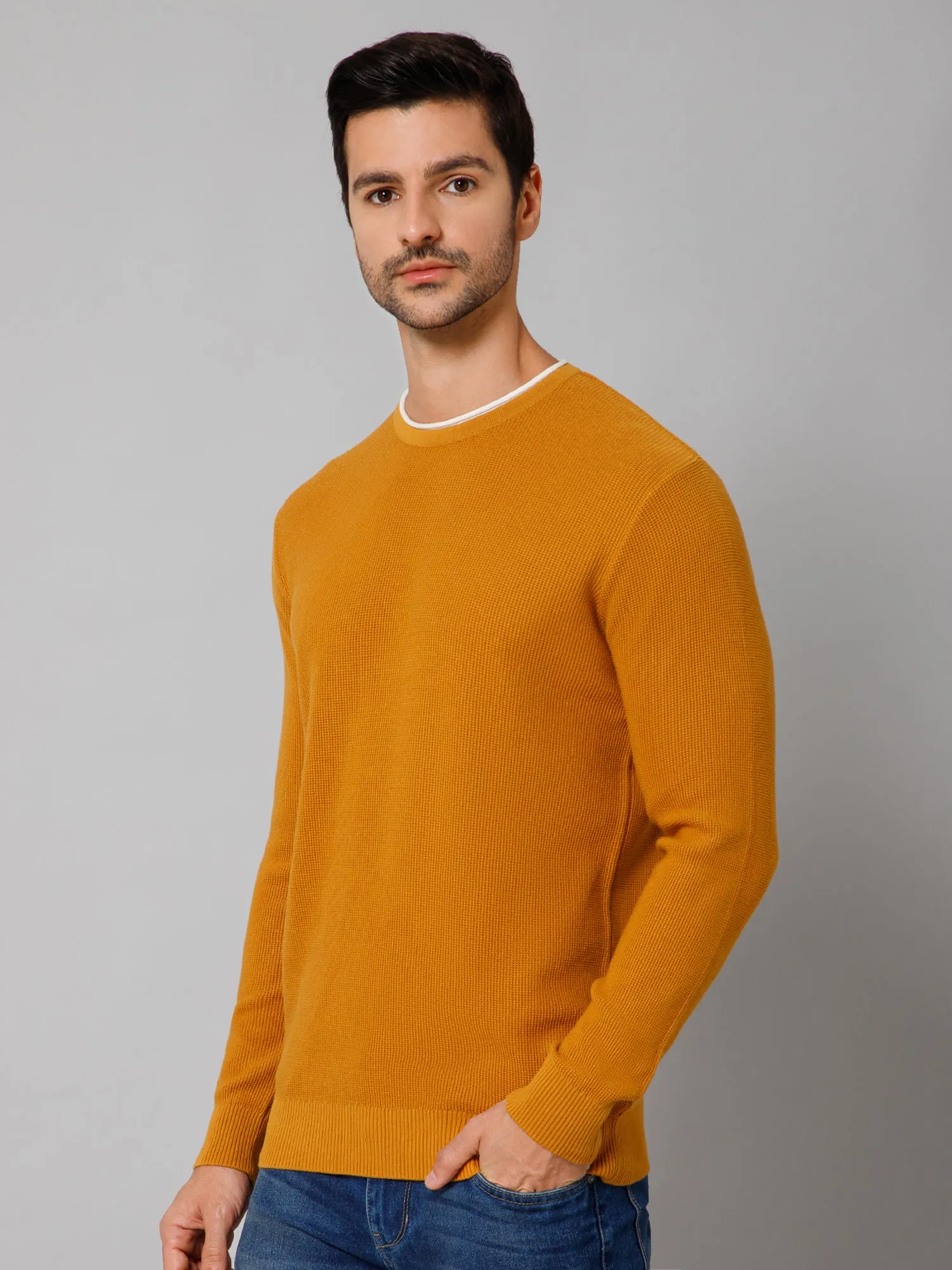 Self Design Mustard Full Sleeves Round Neck Regular Fit Casual Sweater for Men