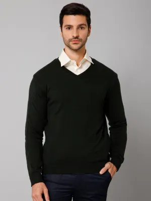 Solid Olive Full Sleeves V Neck Reversible Regular Fit Casual Sweater for Men