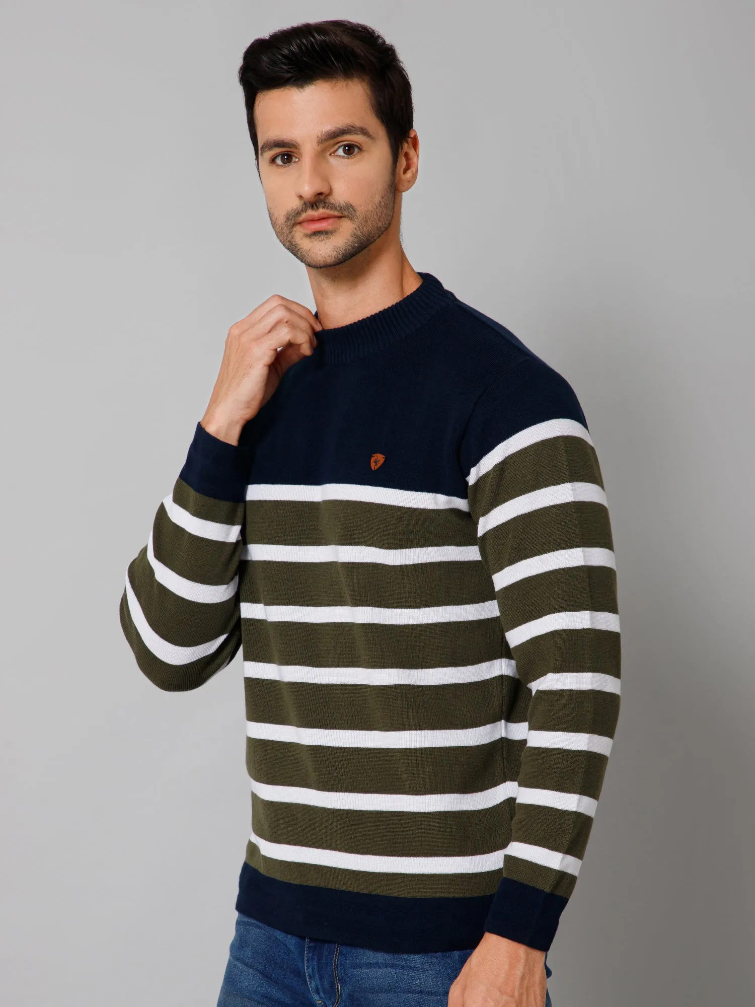 Stripe Green Full Sleeves Round Neck Regular Fit Casual Sweater for Men